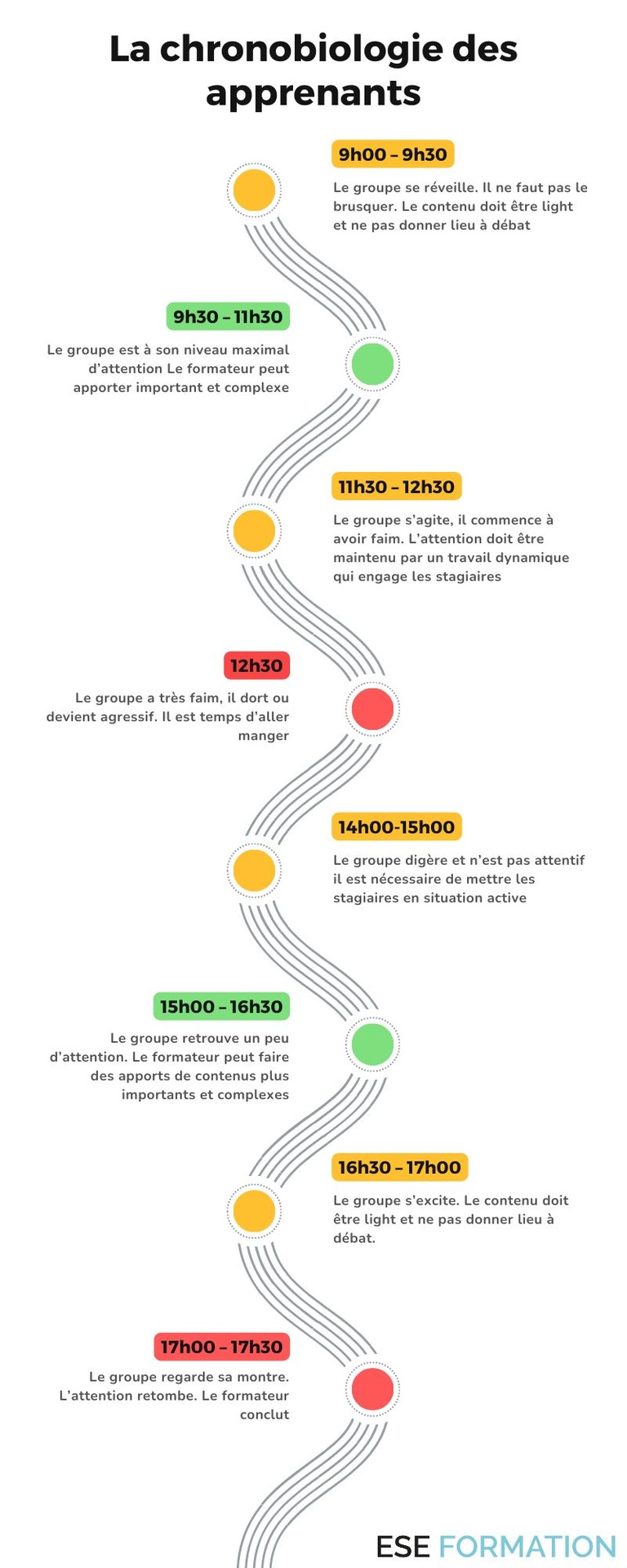 La chronobiologie des apprenants : un levier clé pour des formations plus efficaces